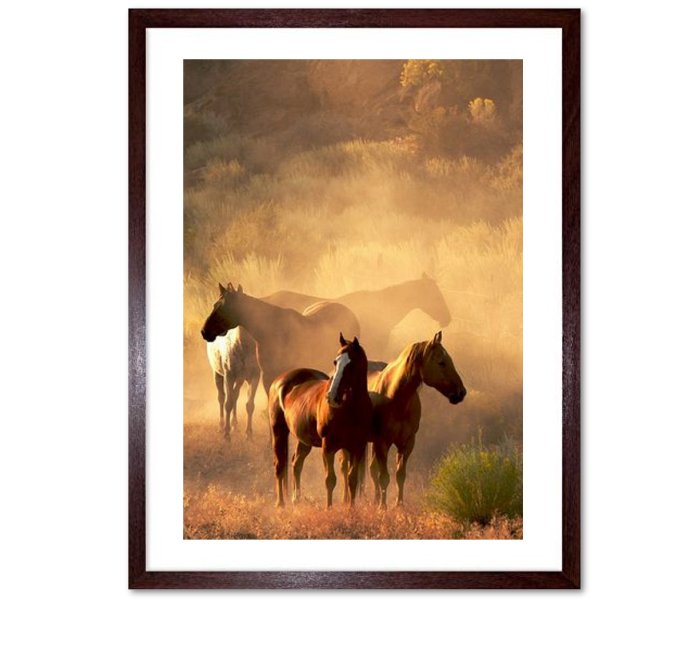 Horse Framed Wall Art Print